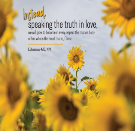 A beautiful field of sunflowers. We see the text of Ephesians 4:15—"Instead, speaking the truth in love, we will grow to become in every respect the mature body of him who is the head, that is, Christ."