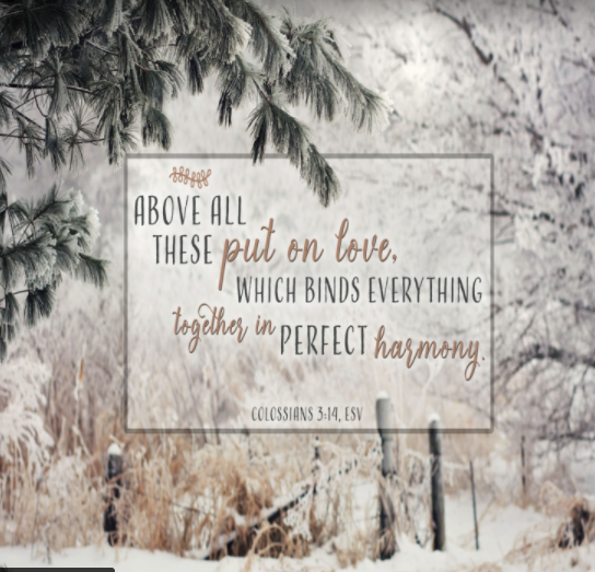 A snowy forest scene. At center, we see the words of Colossians 3:14, as expressed in the English Standard Version: And above all these put on love, which binds everything together in perfect harmony.