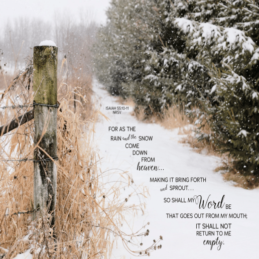 Upcoming Events and Announcements for January 19, 2022