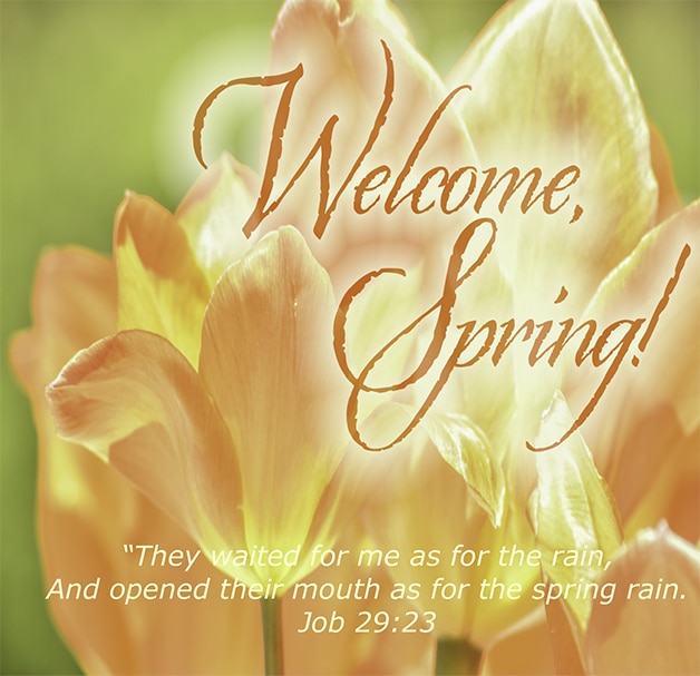 Upcoming Events and Announcements for March 18, 2022