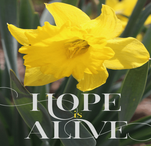 Upcoming Events and Announcements for April 27, 2022