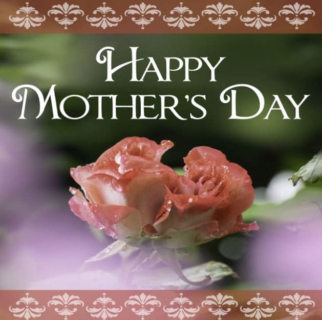 Upcoming Events and Announcements for May 6, 2022